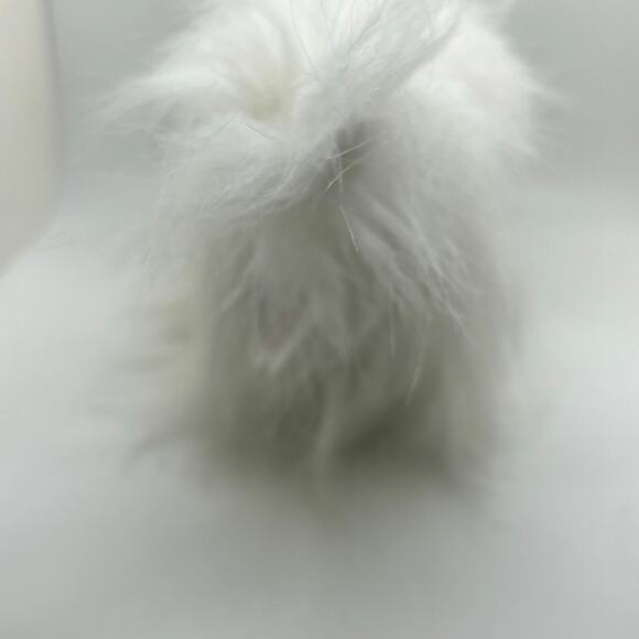 Ganz Webkinz - NWT HM070 Yorkie Stuffed Animal - Animal Toy - Game Code Attached - Picture 5 of 10